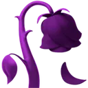 pilted_rose pilted_rose