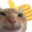 CatThumbsup Discord emoji