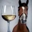 fine_horse