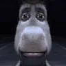 donkeystare