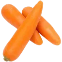 Carrot