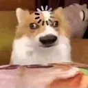 emoji_13