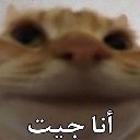 emoji_34 Discord Emoji from #~ 𝐄𝐦𝐩𝐢𝐫𝐞 𝐖𝐞𝐬𝐭 𝟏𝟖𝟕