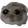 oh1