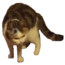 loading_cat