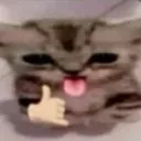 SABO_cat