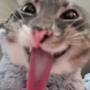 rigbyFreaky