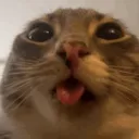 rigbySilly