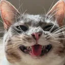 rigbySmile