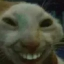 catsmile