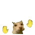 kit_sway