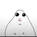 HamsterPleading