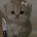 cet