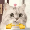 catpointyfingerthingy