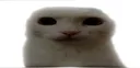 gilbert