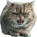 image_20251025_235644789removebg