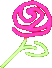 sym_Rose