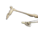dead_1 dead_1