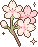flowerPink