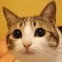 me