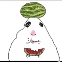 HamsterWatermelon