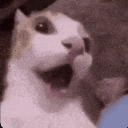 O_O Discord emoji