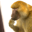 SG_Think Discord emoji