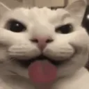 emogicat