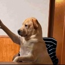 emoji_53 Discord Emoji - NV