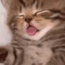 emoji_56 Discord Emoji - NV