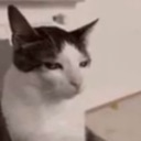 emoji_57 custom emote | NV