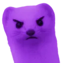 FerretAngry
