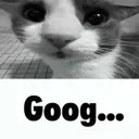 goog goog