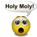 holymolay