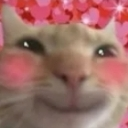 cutie Discord emoji