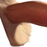 Dick1