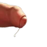 Dick2