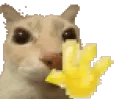 ola