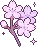branrares