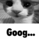 Goog Goog