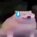 :dogidk: