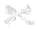 ribbon