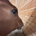 sideeye