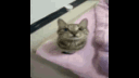 VdeosinttuloHechoconClipchamp
