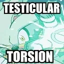 TESTICULARTORSION