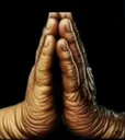 handsB