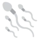 sperm