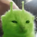 Cat_Alien