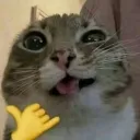 emoji_25