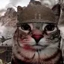 traumeow